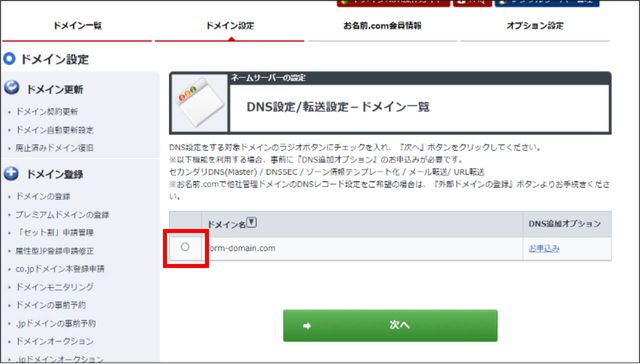 DNS設定画面が表示され、該当のドメインを選択して次へ進みます。