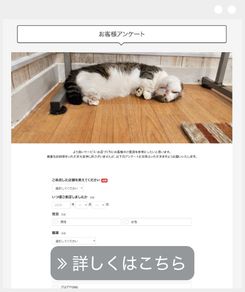 アンケートフォーム