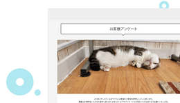 アンケート・調査